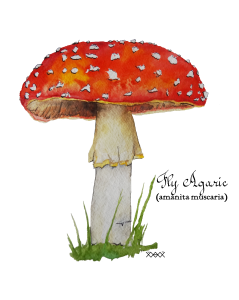 A watercolor painting of a red topped mushroom with white spots and stem sitting in a patch of green grass. There is a white background.